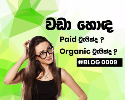 Paid Traffic vs Organic Traffic